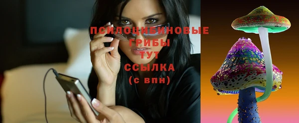крисы Наволоки