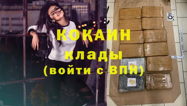 твердый Михайловск