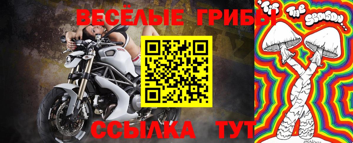 Шали  магазин продажи   Галлюциногенные грибы Psilocybe  Вход с VPN  Галлюциногенные грибы прущие грибы 